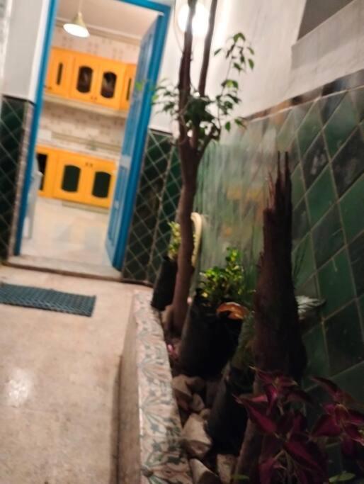 Coup De Coeur A Sidi Bou Said Βίλα Εξωτερικό φωτογραφία