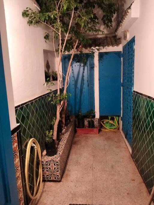 Coup De Coeur A Sidi Bou Said Βίλα Εξωτερικό φωτογραφία